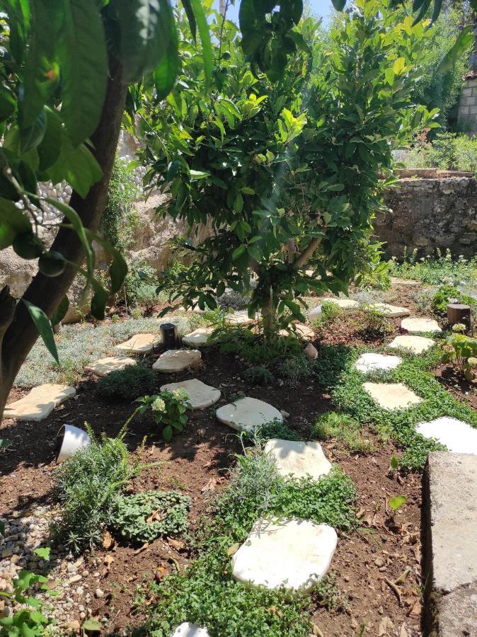 Apartments By The Sea Trpanj, Peljesac - 15995 外观 照片
